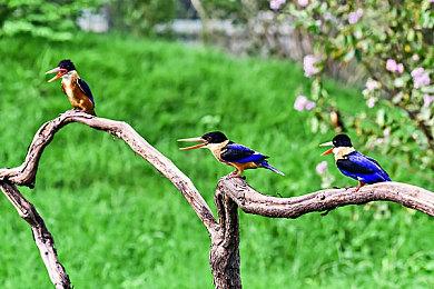 《双人成行》游戏销量超过500万套